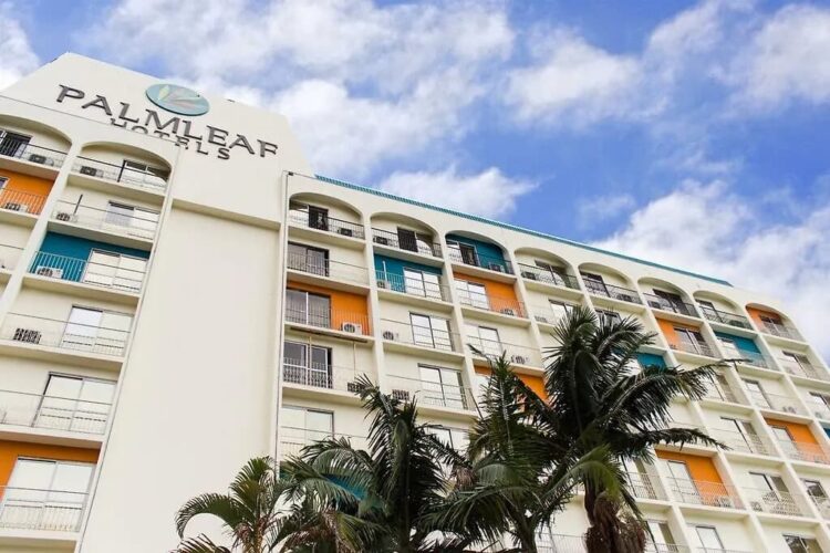 PalmLeaf Grand Premium